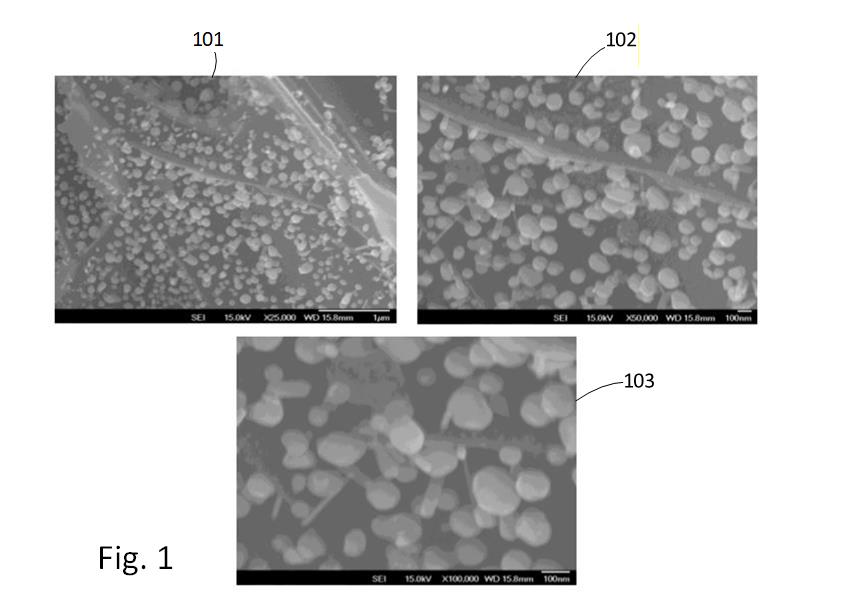 Photograph used in lieu of drawings